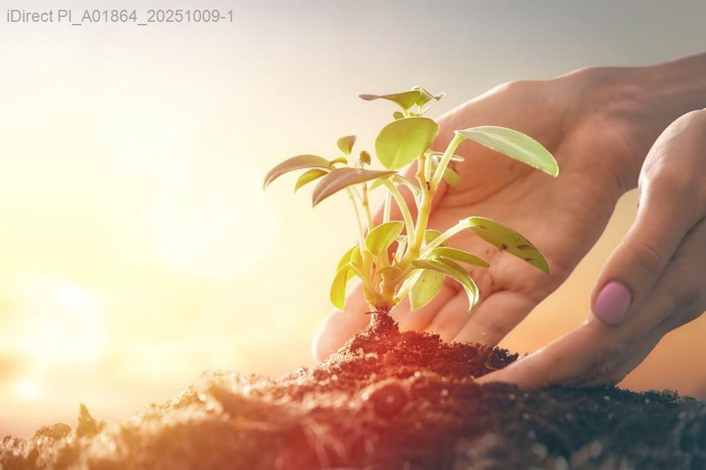 「釋放壓力新選擇！心靈療癒瑜伽用品價格大比拼，尋找你的完美配件」